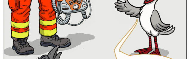 Karel Rahu: nädal pildis