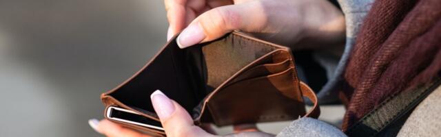 Tarbijauuring: 70% eestlastest ei ole viimase poole aasta jooksul palgatõusu saanud