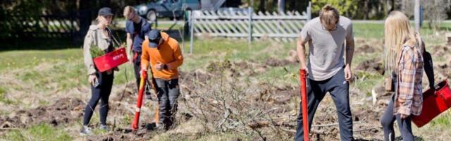 Ale­xe­la kol­lek­tiiv is­tu­tas Valk­las puid