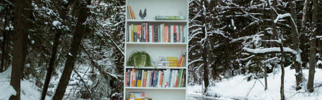 Raamatute laenutuskeskkonnal MIRKO sai 100 000 laenutust täis