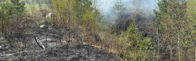 Tulekahju Raasiku vallas Igavere külas Peningi turbatootmisalal