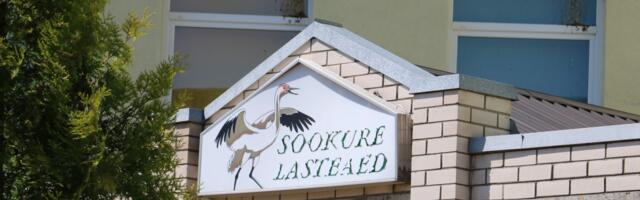 Paide Sookure lasteaed otsib uut õppealajuhatajat
