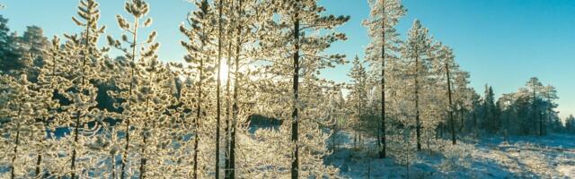 Jaanuari loodusluuleõhtu tuleb võro eri – külas Häniläne ja Ere Kürsa