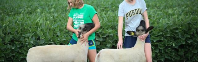 Copa ja Cogeca: noored ei tule sektorisse, kui sissetulek pole õiglane