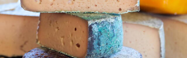 Juustusööjad peaksid ise E-piima ära ostma