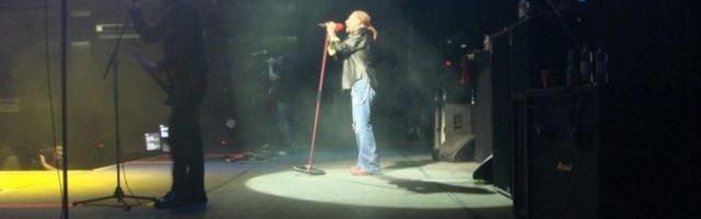 Kes on suurimad hõbekõrid? Veebileht reastab tuntud lauljaid nende vokaalse võimekuse põhjal