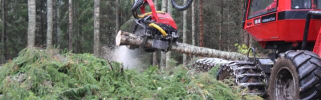 Metsavarumise palga TOP 20: suurim palgakasv oli üle kaheksakümne protsendi