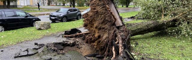 Linna ametnikud hindavad tormijärgseid kahjusid