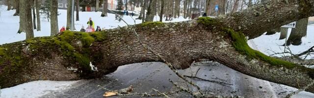 Lõuna-Eesti päästjad said väljakutsed Tartust, Põlva-, Viljandi-, ja Võrumaalt