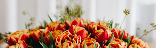 Ene-Margit Tiit ja Krista Aru pälvisid Tartu aukodaniku tiitli