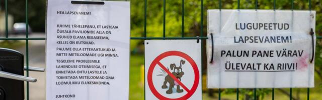 REPLIIK | Krister Paris_ oravad mängisid end lasteaiakohtadega eetilisse kahvlisse