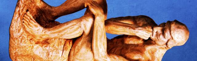 Meet the 2025 Ig Nobel Prize winners