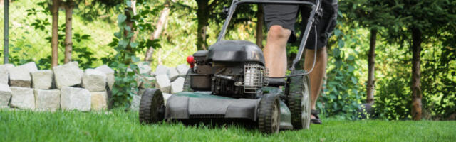 Kuidas ma ise selle peale ei tulnud ehk lihtsad võtted suvekodu kaitsmiseks!