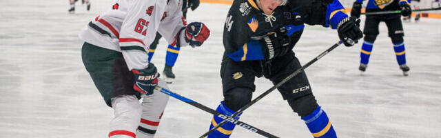 Koduses jäähokiliigas visati efektne Michigani värav