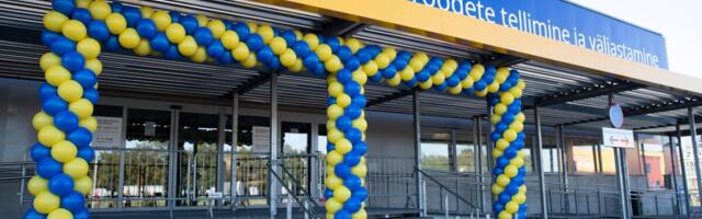 IKEA omandas siinkandis enam kui 130 000 hektarit metsamaad