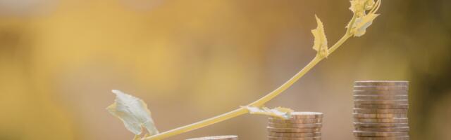 Tulihobuse aasta toob rahalise pöörde: kolm Hiina sodiaagimärki on suured võitjad