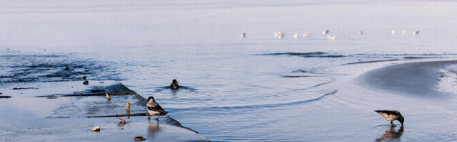 Loodusgeograaf: kliima soojeneb ka ilusa talve kiuste