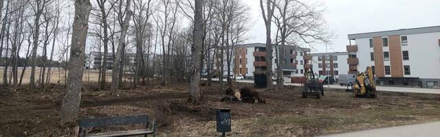 Aru­kü­la koer­te­par­gi täi­te­pin­na­se­na ei ka­su­ta­tud prü­gi