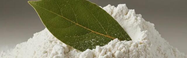 Miks tasub panna loorberileht jahu sisse – üllatav põhjus, mida vähesed teavad