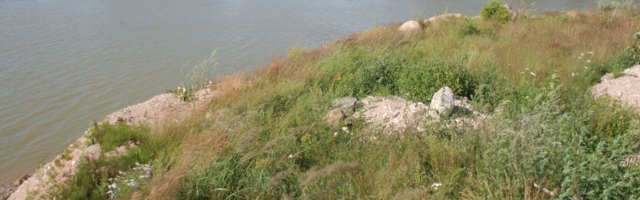 Joobes noormees kukkus järve