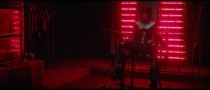 Ühismeediast raamatukaante vahele