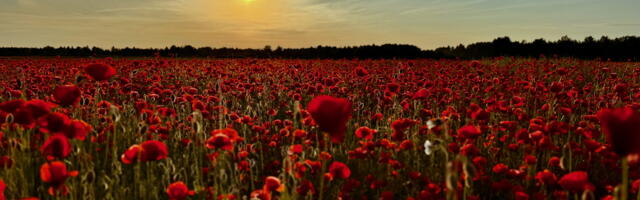 Lugeja küsib: Kas Eesti ilma mõjutatakse kliimarelvaga?