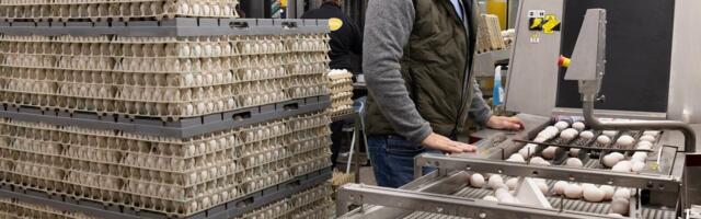 „Minister tahab toidu hinda tõsta.“ Terras peab ettevõtjatega munasõda