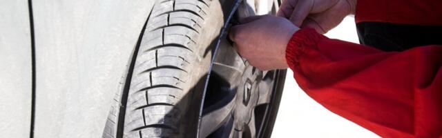 Rehviäri maksis omanikele kopsakad dividendid