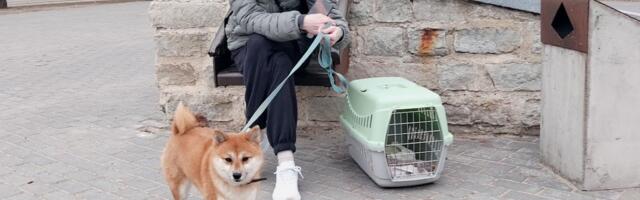 Narva elanikud drooniintsidendist: „See meisse ei puutu!“ ehk ei mingit paanikat ega hirmu