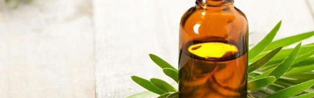 Imeline Teepuuõli tervisele ja kodule