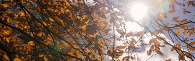 Laupäevaks lubatakse kuni 14 soojakraadi