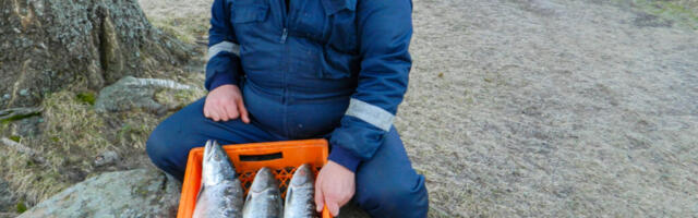 Andrus Roosa tabab õige hiiu nalja lennult