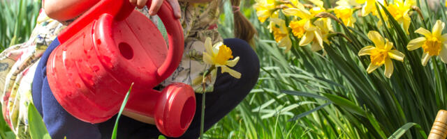 ChatGTP: praktilisi nõuandeid, kuidas kaitsta õitsevaid taimi kevadiste öökülmade eest