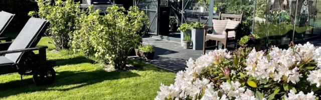 Minu rodopõõsas ja teekond kultuurmustikateni