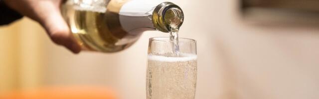 LUGEJA KÜSIB | Kas ühistu saab korteri sundmüüki panna, kui elaniku joomapeod häirivad naabreid?