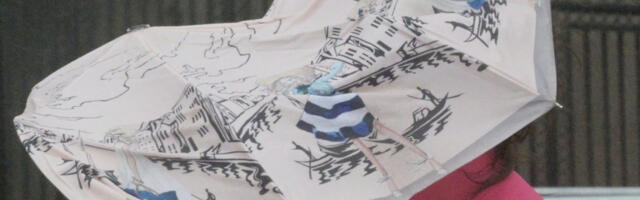 U OVIM DELOVIMA SRBIJE ŠIBAĆE VETAR OLUJNE JAČINE Biće i kiše, a onda... U CELOJ SRBIJI NA SNAZI UPOZORENJE NA OPASNOST (FOTO)