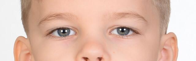 Politsei otsib Tartu linnas kadunud 8-aastast Lev Andret