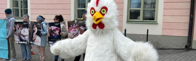 Rain Epler: “hooliv” sotsiaaldemokraatia ja puurikanad