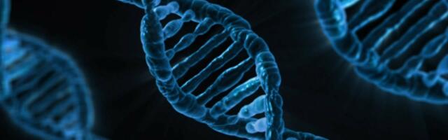 USA võimud otsivad geenipankadest tulnukate järeltulijate DNA-d