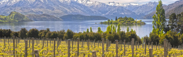 Igor Sööt. Kauge veinimaailma pärl maakera kuklapoolel