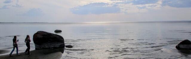 RUSLAN DONTSOVI GALERII: maikuu õhtupoolik