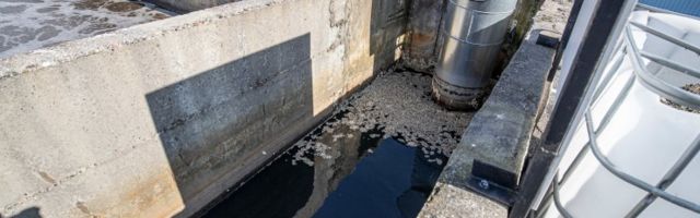 Koroonakütid asuvad uurima Eesti reovett