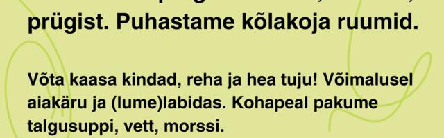 Aegviidu Kõlakoja talgud