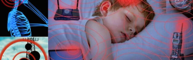 Elektromagnetväljade kahjulike mõjude selgitus