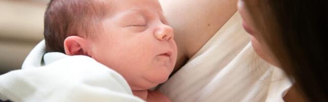 Novembris registreeriti 843 sündi, neist 276 Tallinnas