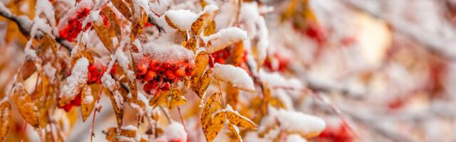 Oktoobri viimases kolmandikus satub vihma sekka ajuti lörtsi ja lund