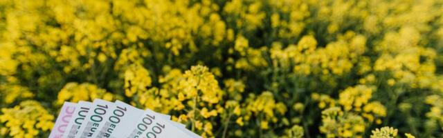 Toetuste taotlemise perioodid lühenevad