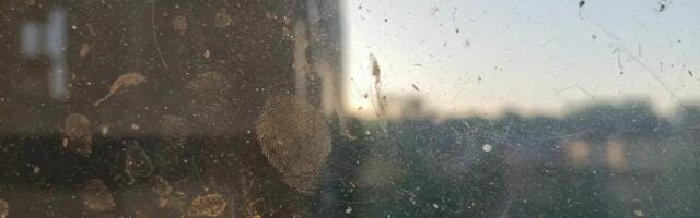 Klaasiplekid kaovad lõplikult: proovi seda võimsat looduslikku lahendust