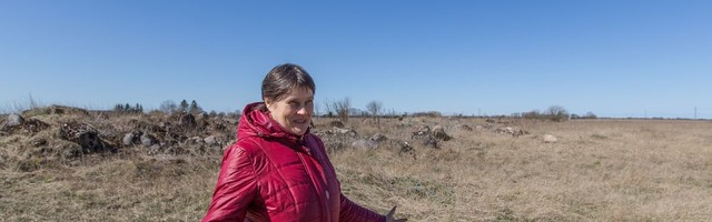 Lüganuse küla otsib paekarjääri vastu kohtust õiglust