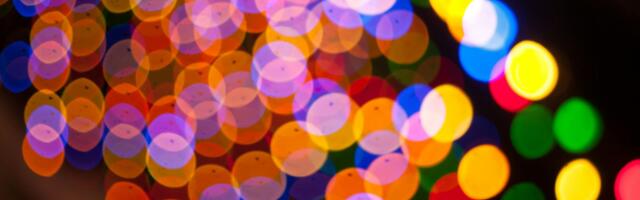 REPLIIK: kui riigis toimub valitsemiskulude kärpimine, kas siis Nelgi teel pidu jätkub?